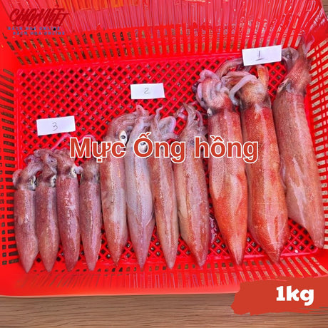 Mực Ống Hồng Tươi - 1kg Chợ Việt C01