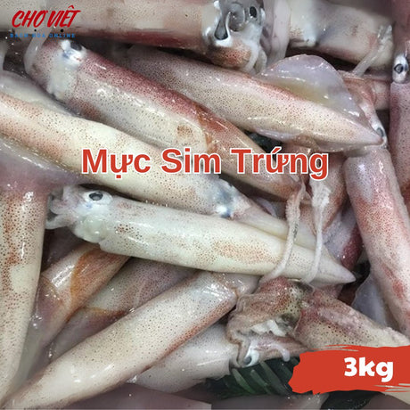 Mực Sim Trứng Tươi Busan – Size 3kg Chợ Việt C01