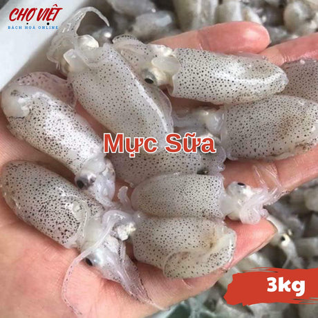 Mực Sữa Tươi Busan – 3kg Chợ Việt