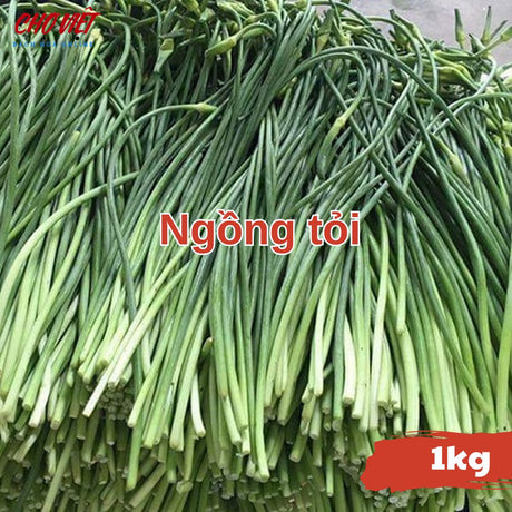 Ngồng Tỏi (1kg) Chợ Việt N01