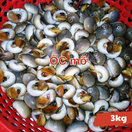 Ốc Mỡ Tươi Sống Busan – 3kg Chợ Việt C01