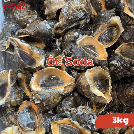 Ốc Soda – Tươi Ngon (3kg) Chợ Việt C01