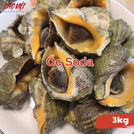 Ốc Soda – Tươi Ngon (3kg) Chợ Việt C01