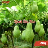 Quả Su Su (2kg) Chợ Việt N01