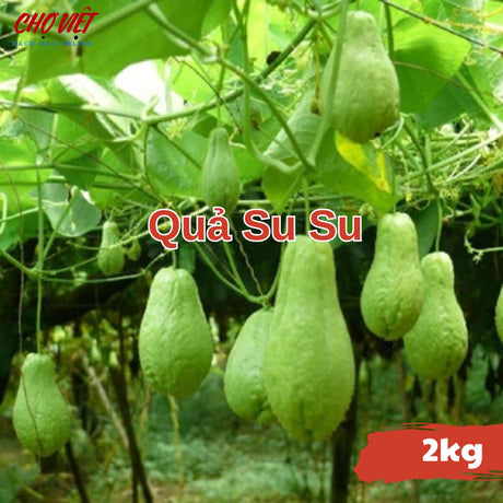 Quả Su Su (2kg) Chợ Việt N01