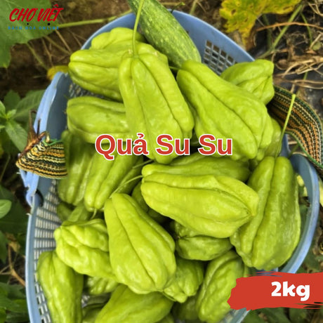 Quả Su Su (2kg) Chợ Việt N01