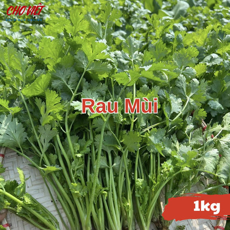 Rau Mùi (1kg) Chợ Việt N01