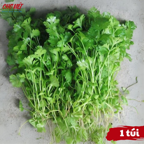 Rau Mùi Tươi Chợ Việt T01