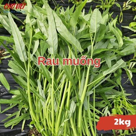 Rau Muống (2kg) Chợ Việt N01