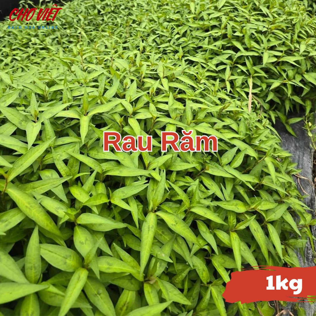 Rau Răm (1kg) Chợ Việt N01