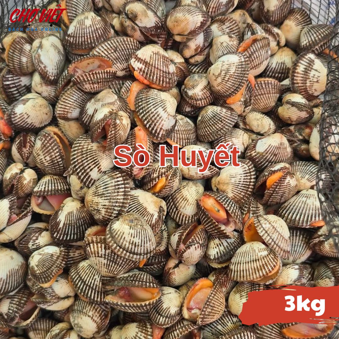 Sò Huyết Tươi – 3kg Chợ Việt C01