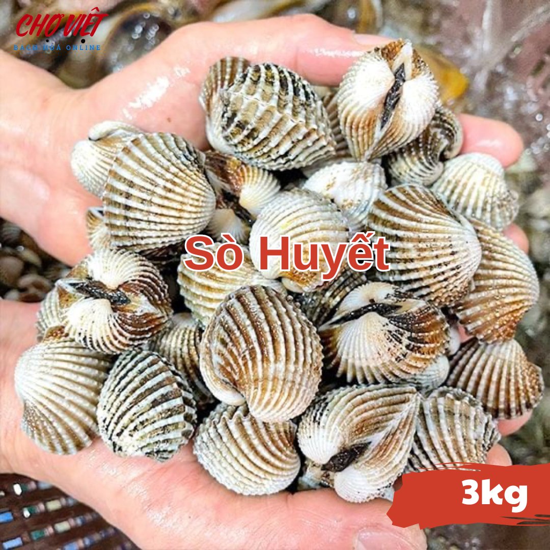 Sò Huyết Tươi Busan – 3kg Chợ Việt C01
