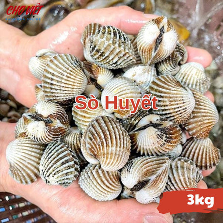Sò Huyết Tươi Busan – 3kg Chợ Việt C01