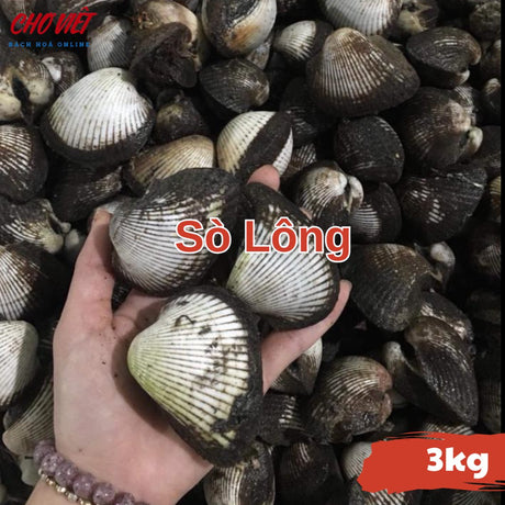Sò Lông – 3kg Chợ Việt C01