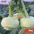 Su Hào (2kg) Chợ Việt