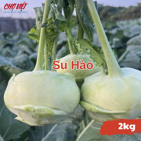 Su Hào (2kg) Chợ Việt