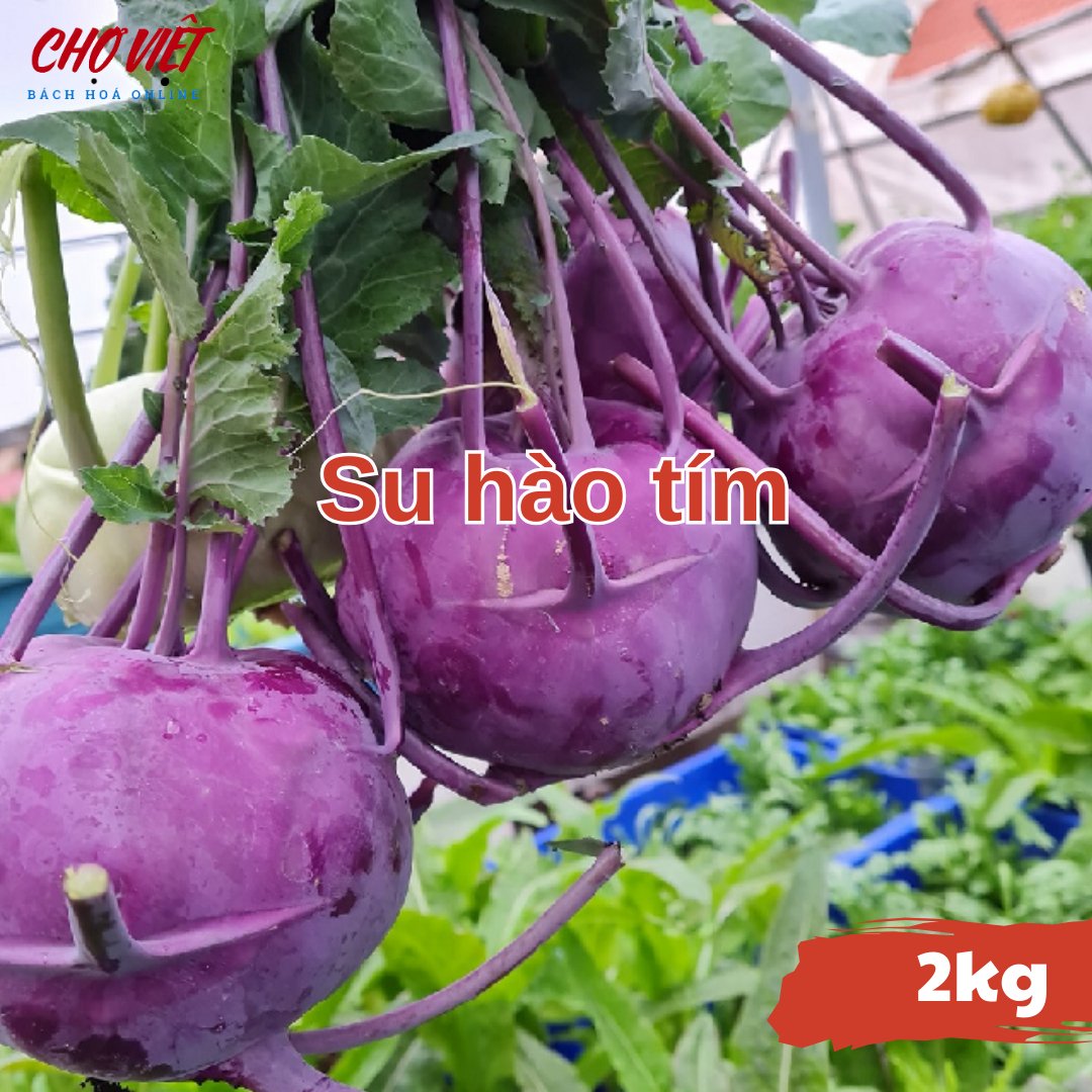 Su Hào Tím (2kg) Chợ Việt N01