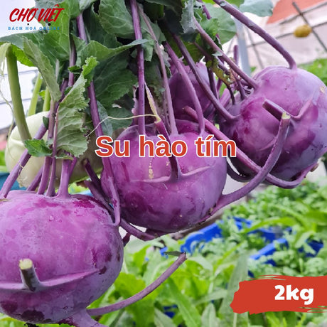Su Hào Tím (2kg) Chợ Việt N01
