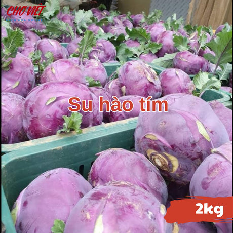 Su Hào Tím (2kg) Chợ Việt N01
