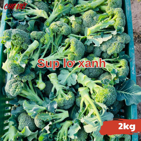 Súp Lơ Xanh (2kg) Chợ Việt N01