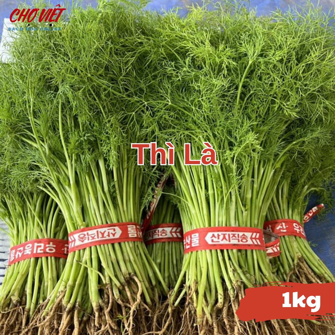 Thì Là (1kg) Chợ Việt N01