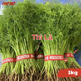 Thì Là (1kg) Chợ Việt N01