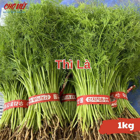 Thì Là (1kg) Chợ Việt N01