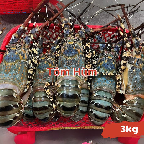 Tôm Hùm Tươi Busan – 3kg Chợ Việt C01