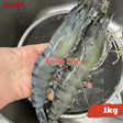 Tôm Sú Tươi – 1kg Chợ Việt C01