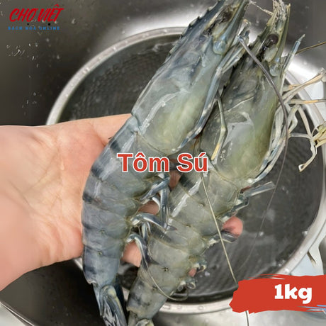Tôm Sú Tươi – 1kg Chợ Việt C01