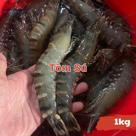 Tôm Sú Tươi – 1kg Chợ Việt C01