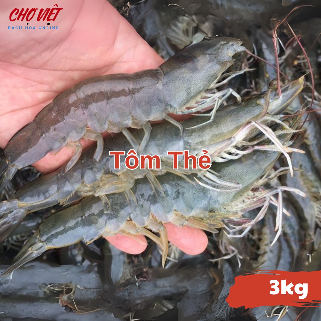 Tôm Thẻ Tươi – 1kg Chợ Việt C01