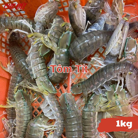 Tôm Tít Tươi Busan – 1kg Chợ Việt C01