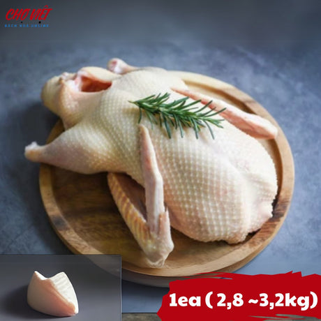 Vịt Nguyên Con Chợ Việt T01